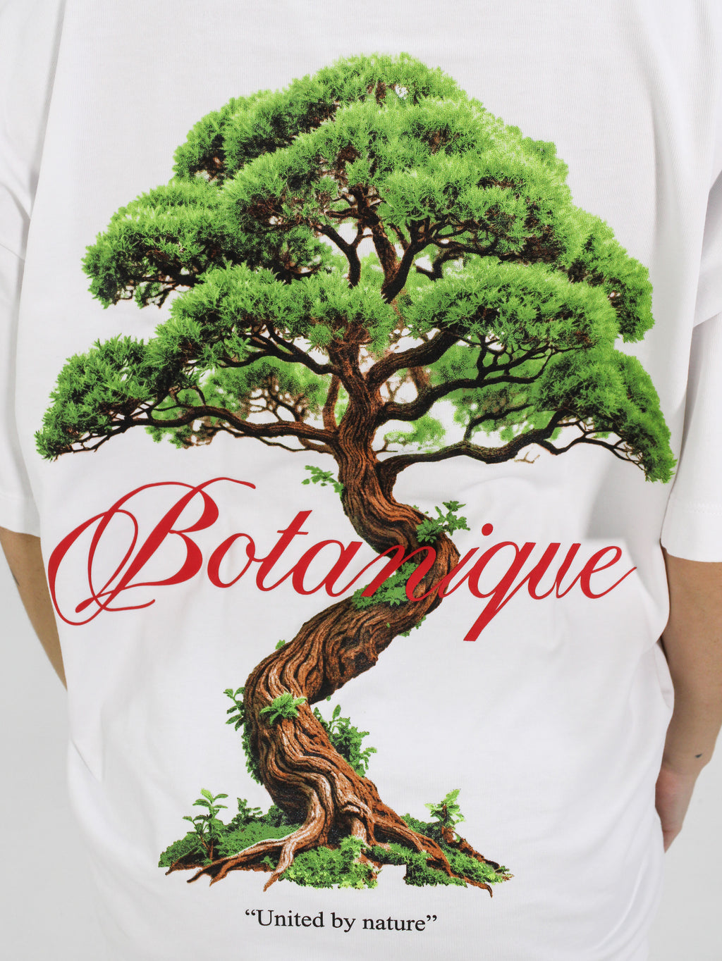BOTANIQUE
