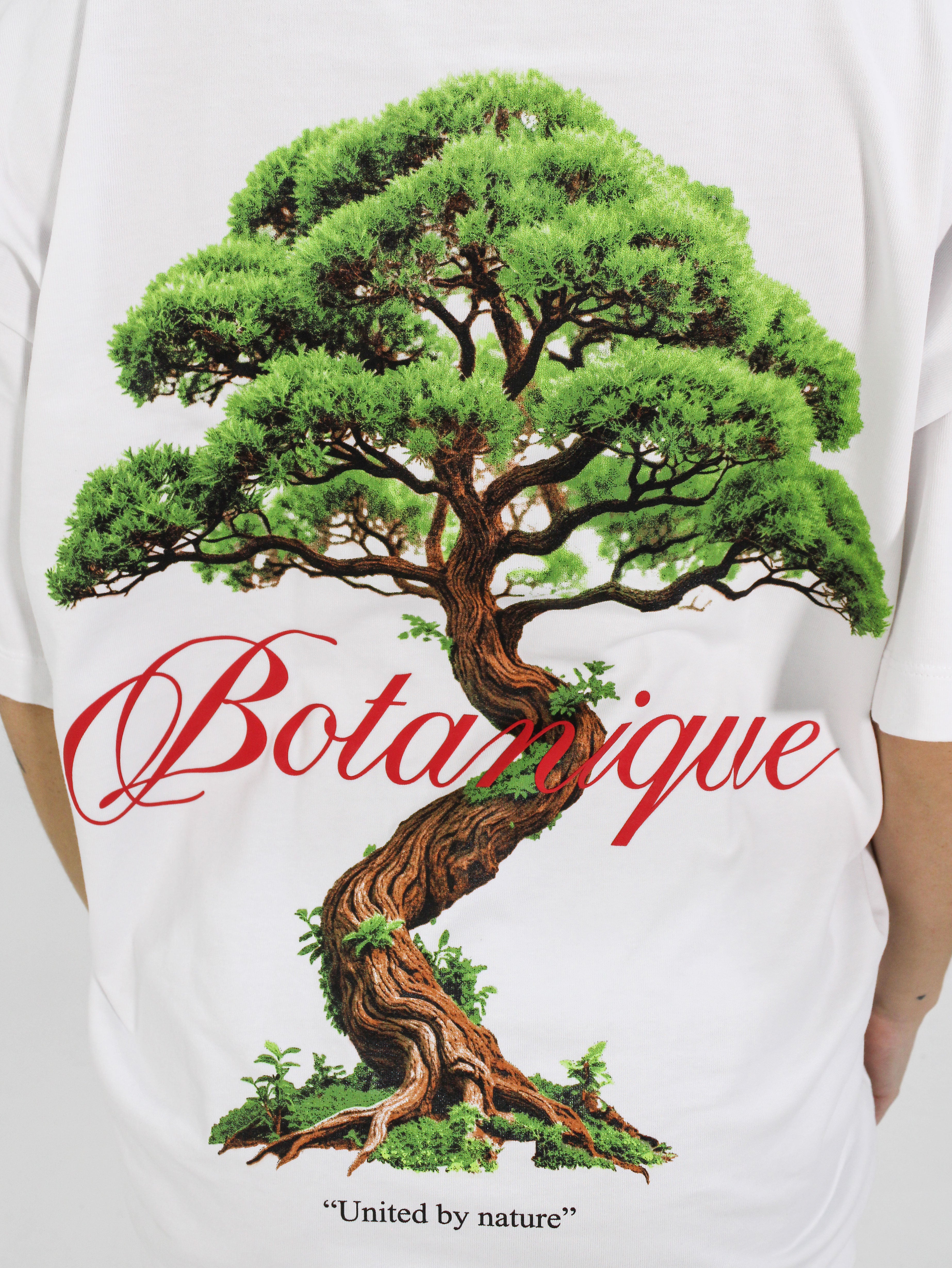 BOTANIQUE